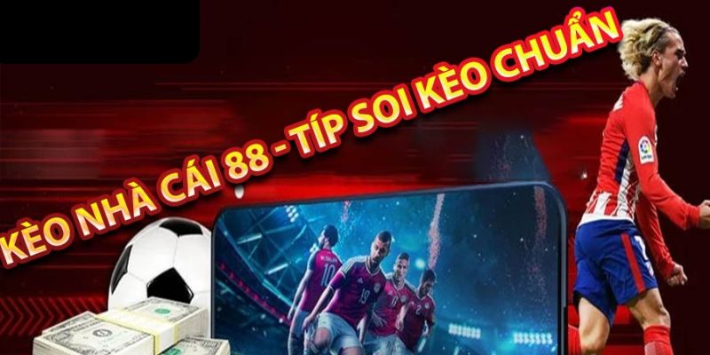 Chia sẻ bí quyết giúp newbie bắt kèo