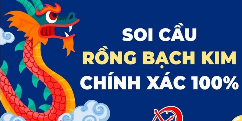 Khám phá những kỹ thuật bắt kèo hiện đại hiệu quả từ chuyên gia hàng đầu